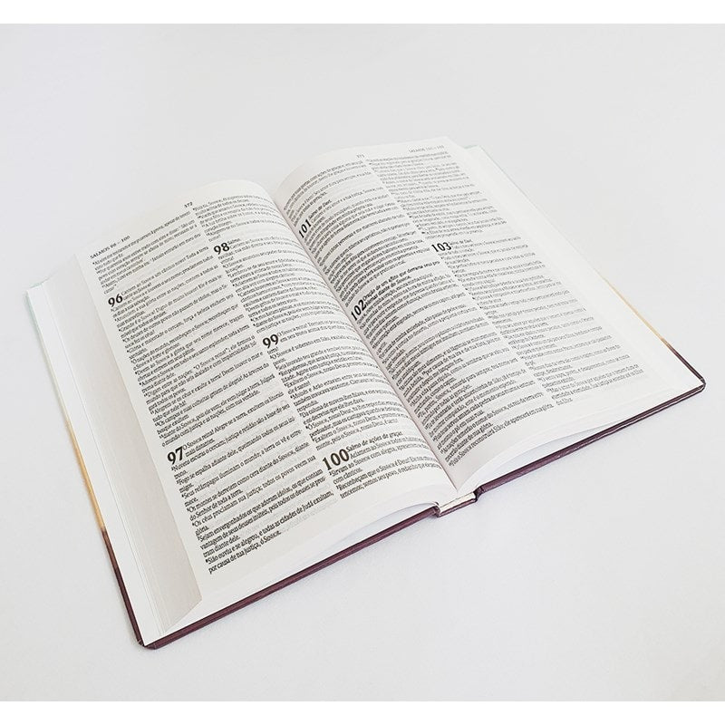 Kit de 10 Bíblia Sagrada Maranata | NVT | letra Normal | Capa Dura