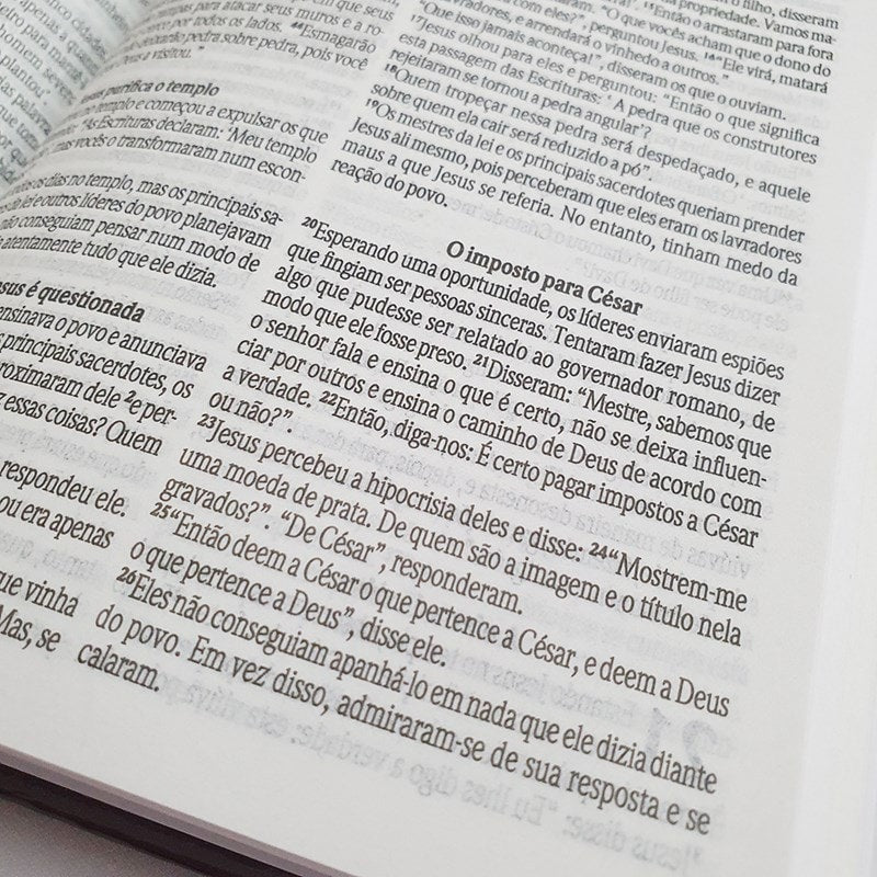 Kit de 10 Bíblia Sagrada Maranata | NVT | letra Normal | Capa Dura