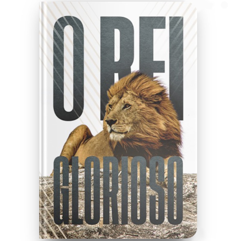 Kit de 10 Bíblia Sagrada Rei Glorioso | NVT | letra Normal | Capa Flexível