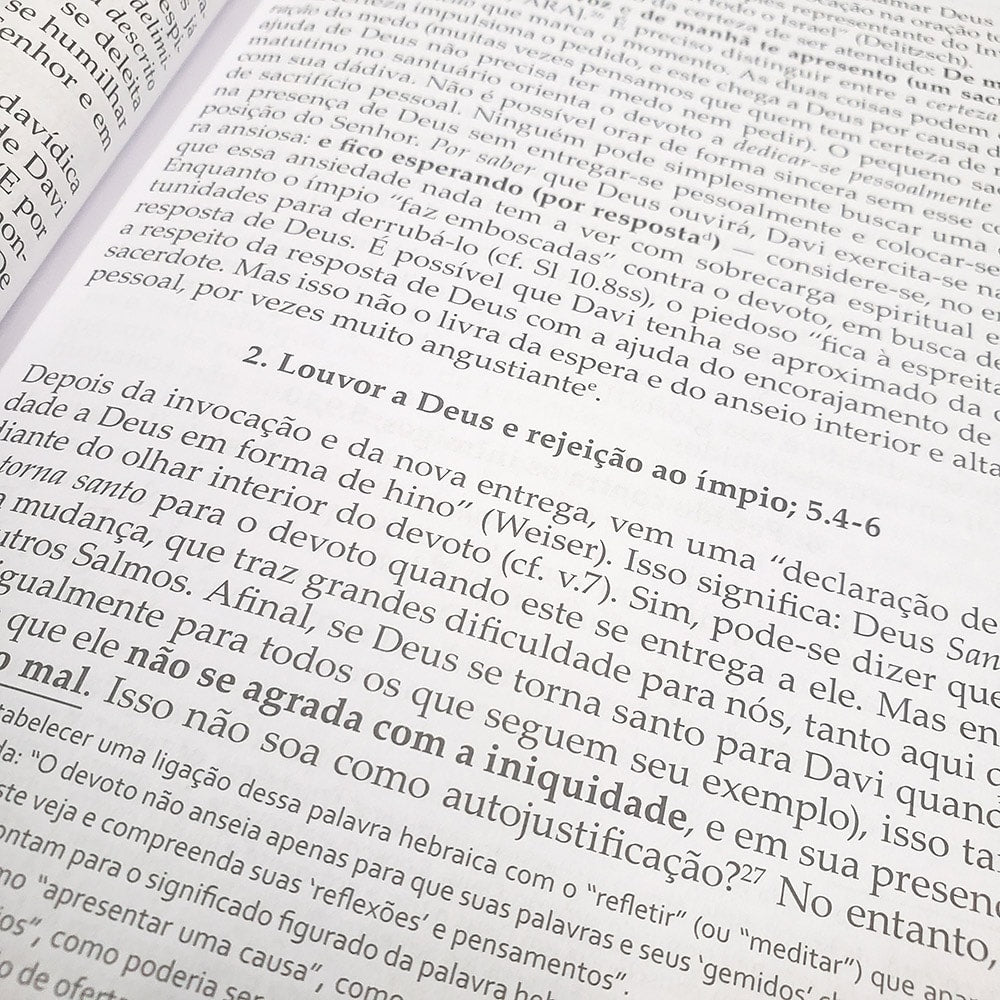 Salmos Vol. 1 | Comentário Esperança | Dieter Schneider
