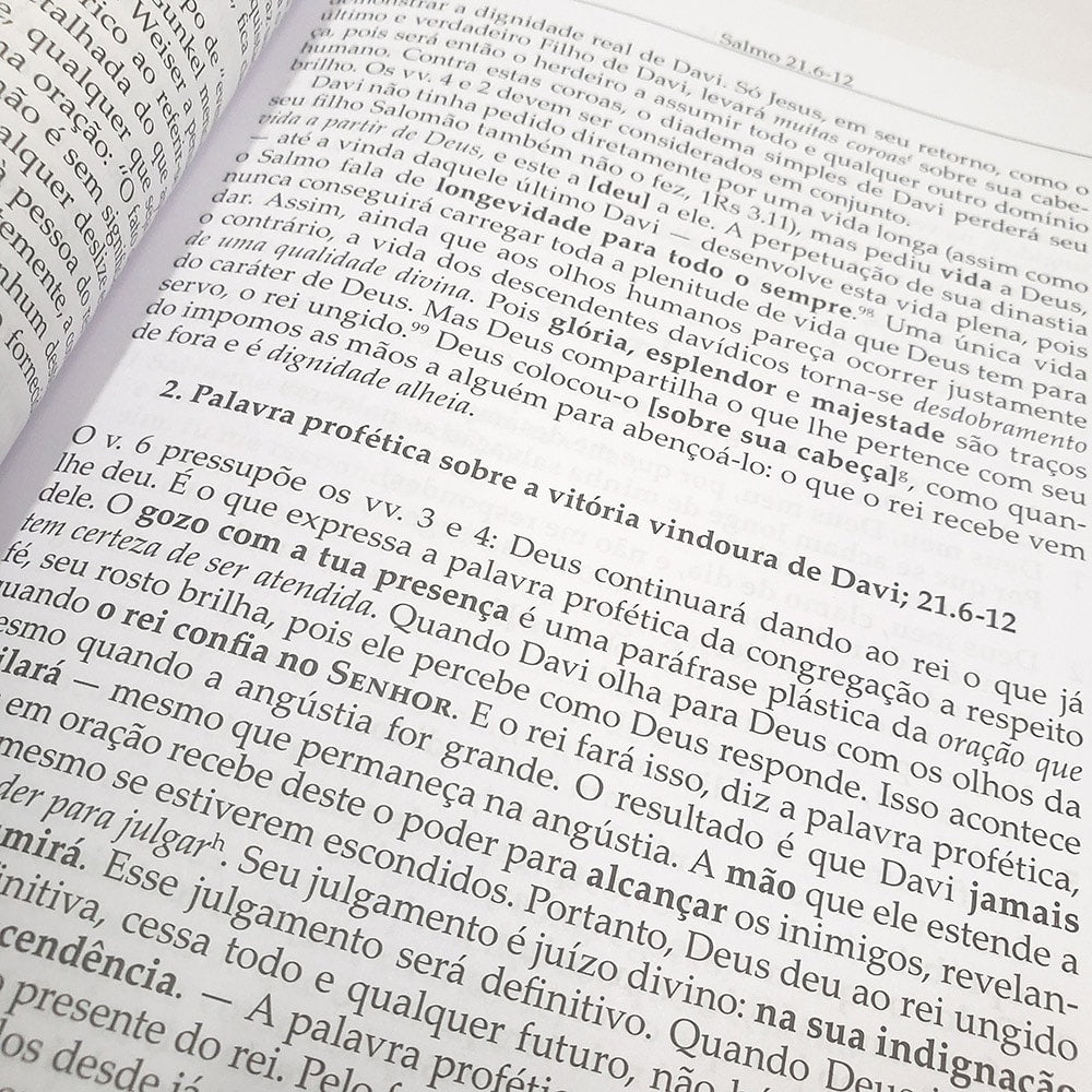 Salmos Vol. 1 | Comentário Esperança | Dieter Schneider