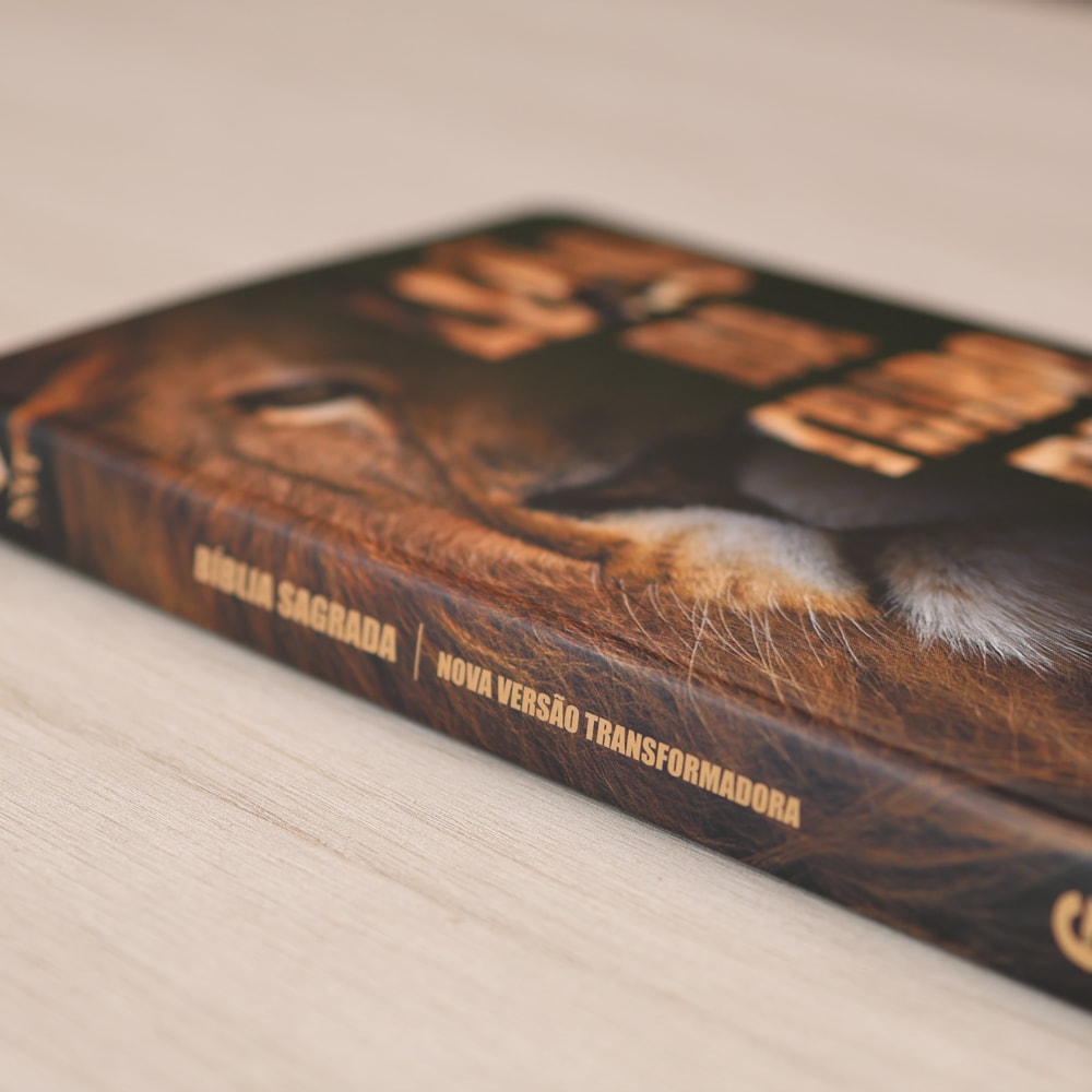 Bíblia Caminho da Salvação | NVT | Letra Normal | Capa Semi Luxo