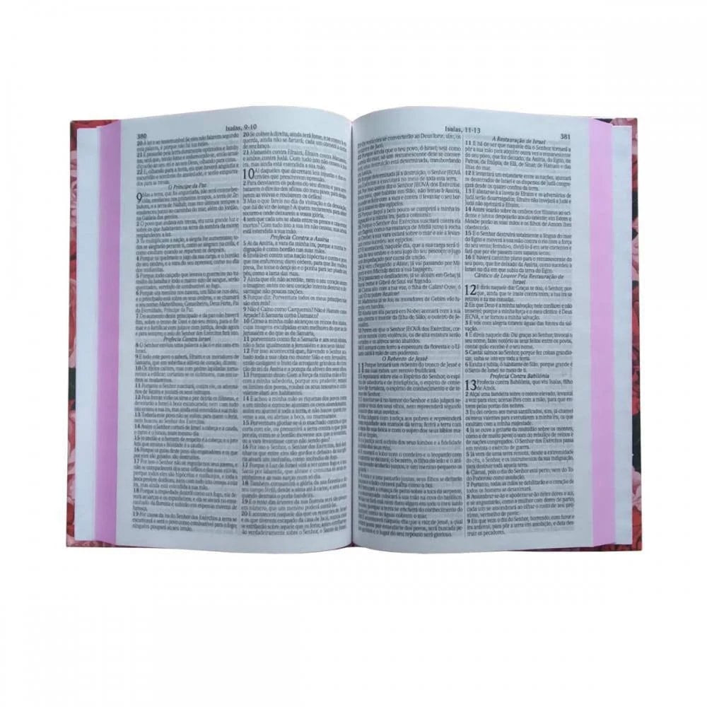 Bíblia Sagrada Letra Jumbo | ARC | Capa Dura Leão fogo