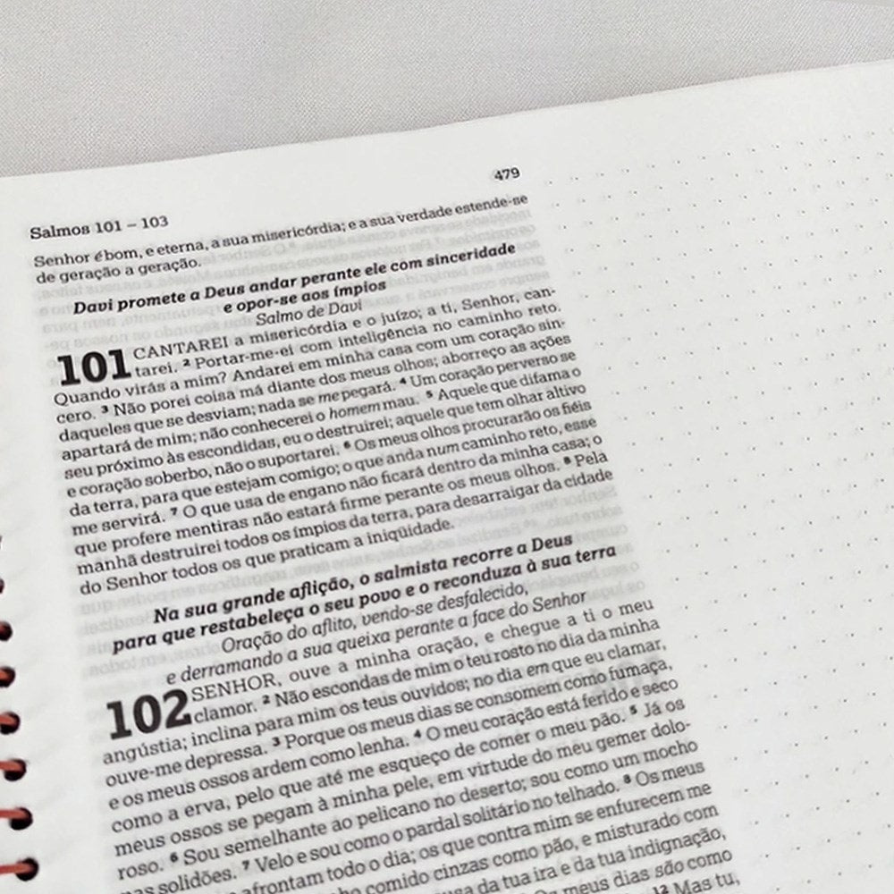 Bíblia Anote Espiral Galáxia | NVI | Letra Normal | Com Espaço Para Anotações