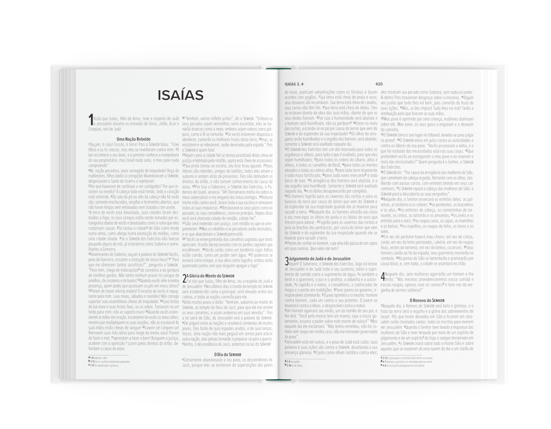 Bíblia Sagrada A Vida É Bela | NVI | Capa Dura