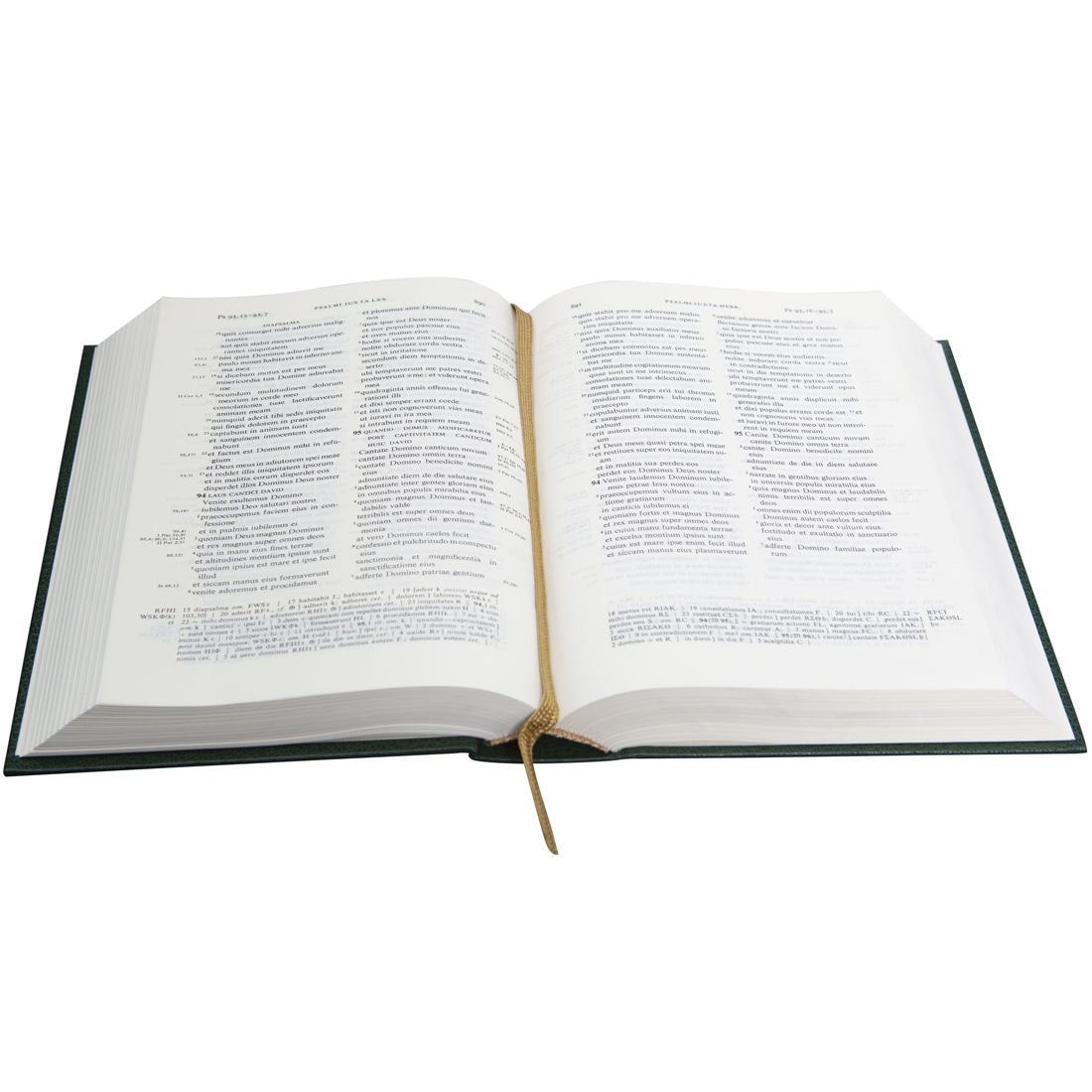 Biblia Sacra Vulgata em Latim | Letra Normal | Capa Dura Verde