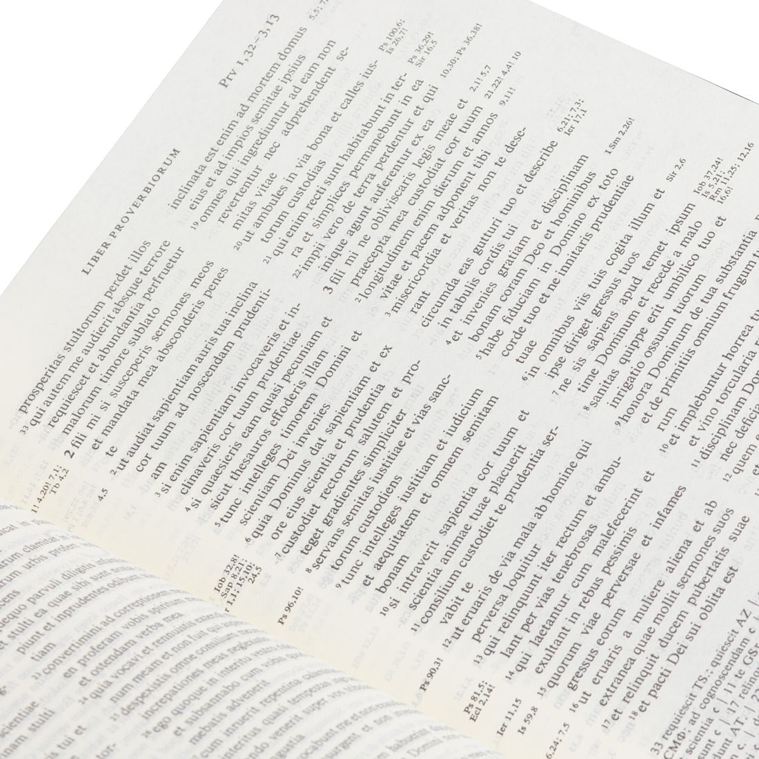 Biblia Sacra Vulgata em Latim | Letra Normal | Capa Dura Verde