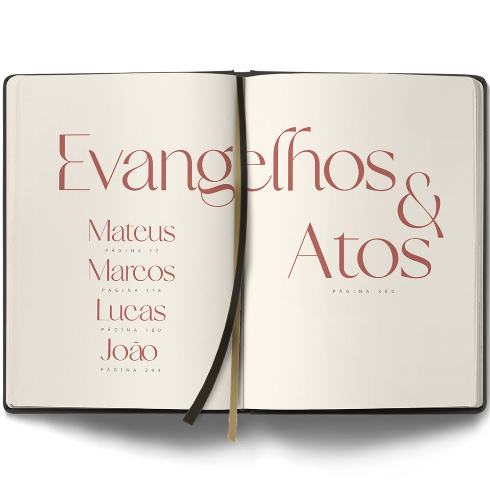 Bíblia Contexto | Evangelho e Atos | NVT | Capa Dura | Leão