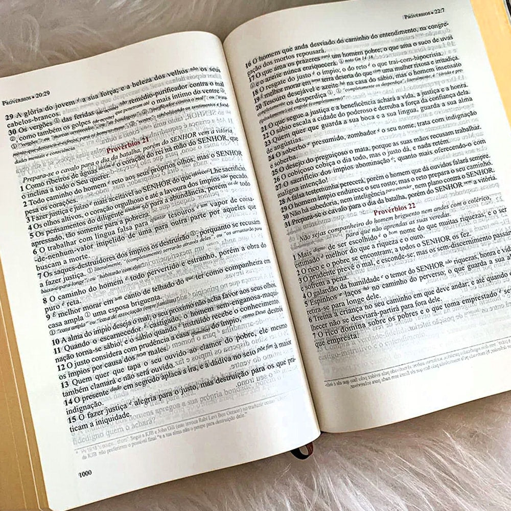 Bíblia de Estudo Literal do Texto Tradicional | LTT | Capa Luxo Preta