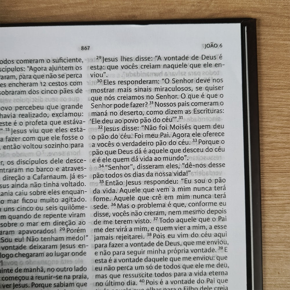 Nova Bíblia Viva | Letra Normal | Capa Dura Bendito o Rei