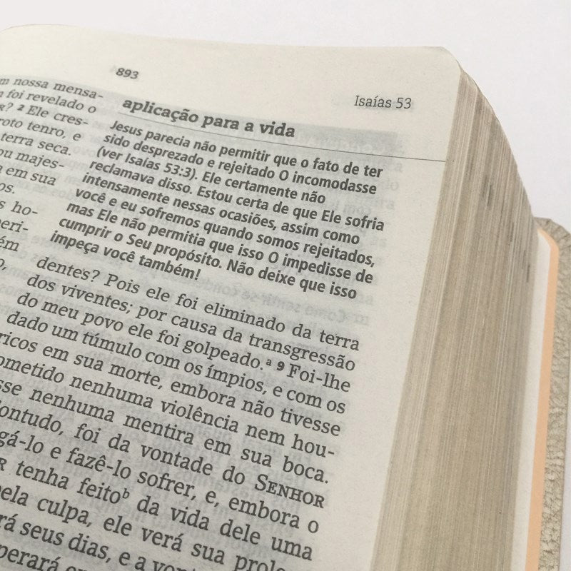 Bíblia de Estudos Joyce Meyer | NVI | Letra Normal | Capa Azul Leão