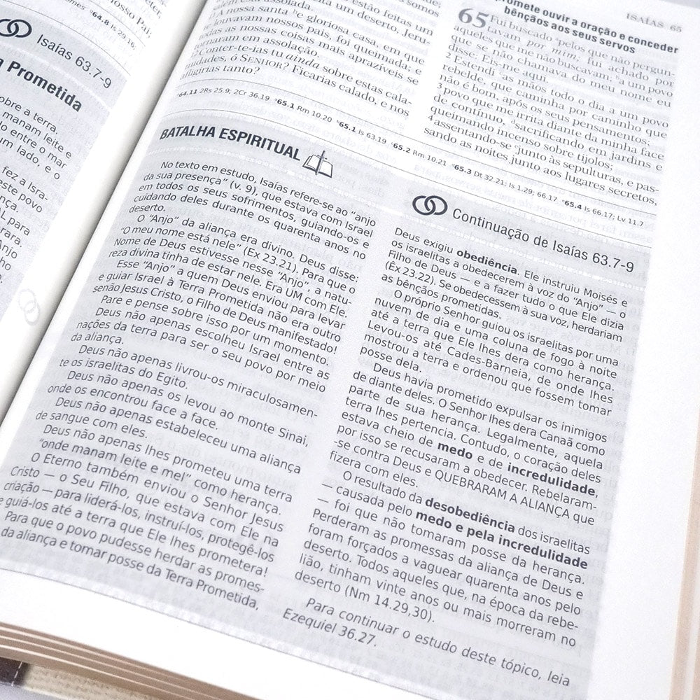 Bíblia de Estudo | Batalha Espiritual e Vitória Financeira | ARC | Capa Luxo Bege