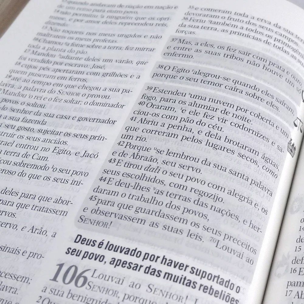Bíblia de Estudo | Batalha Espiritual e Vitória Financeira | ARC | Capa Luxo Marrom