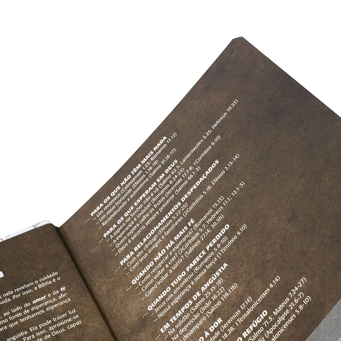 Bíblia Sagrada Âncora Azul | NTLH | Letra Normal | Capa Dura