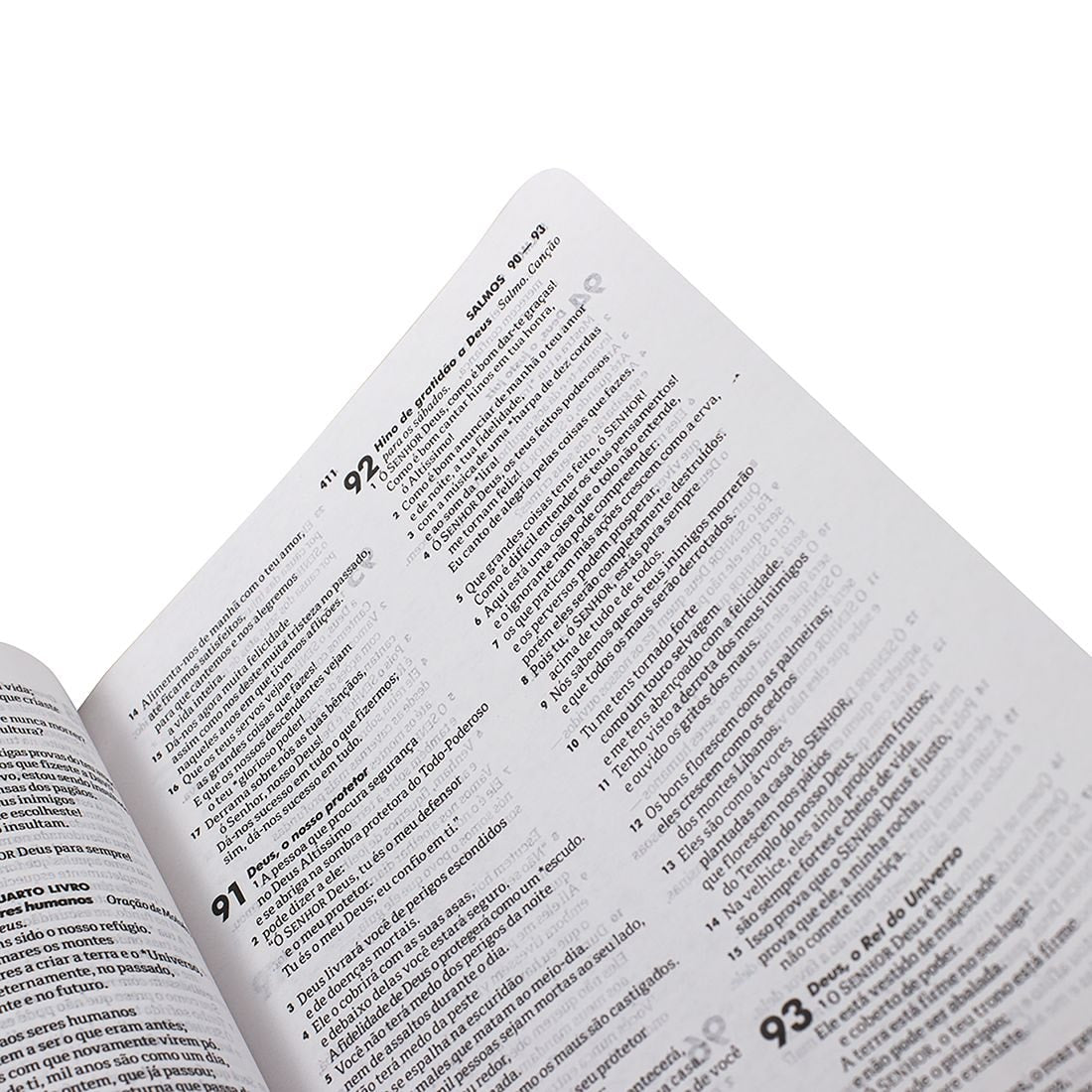Bíblia Sagrada Âncora Azul | NTLH | Letra Normal | Capa Dura