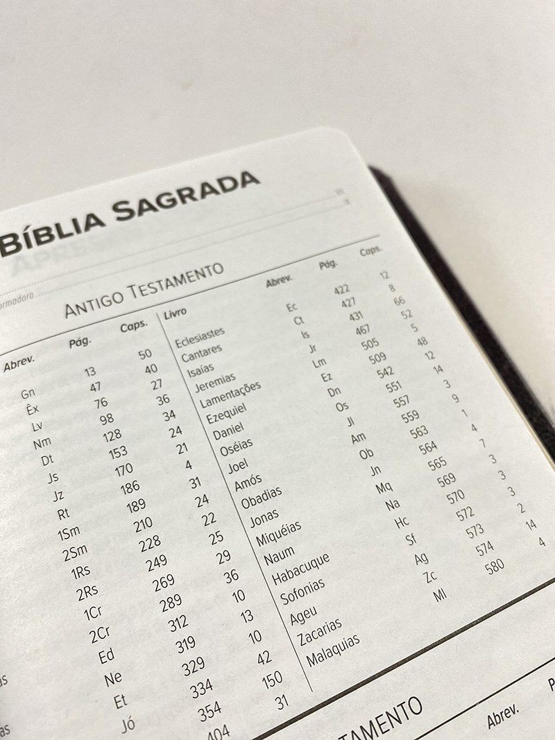 Bíblia Sagrada Slim | NVT | Letra Normal | Capa Luxo Roxa