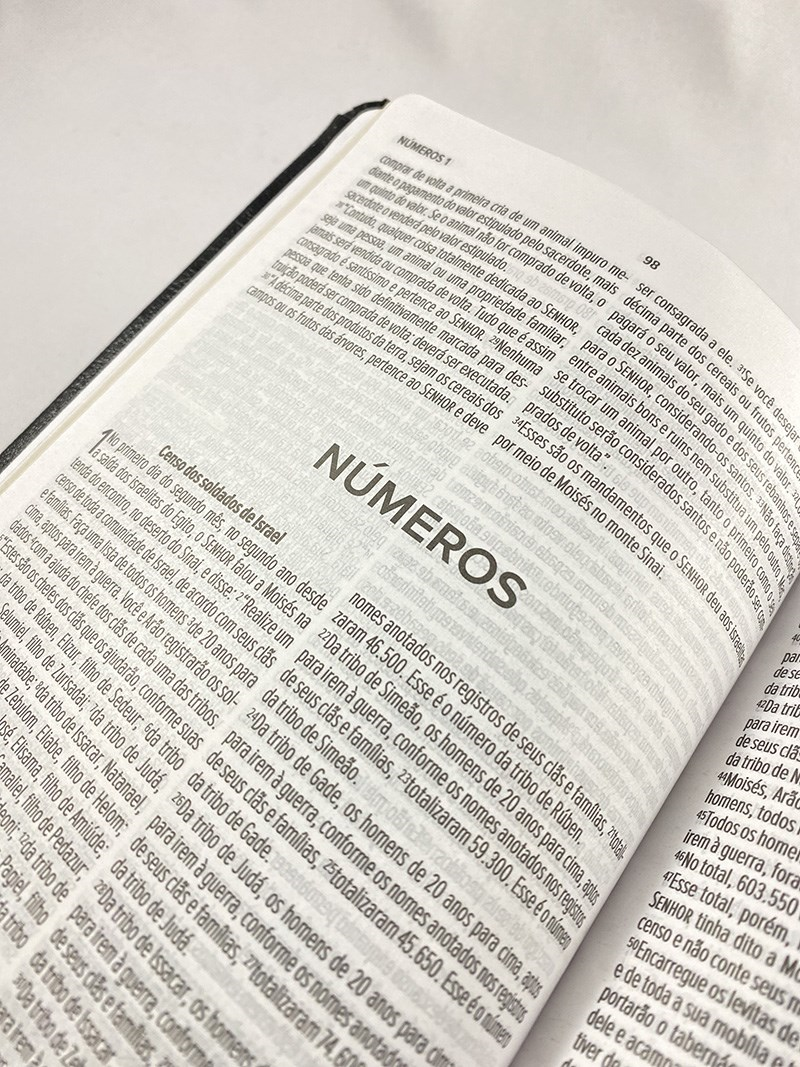 Bíblia Sagrada Slim | NVT | Letra Normal | Capa Luxo Roxa