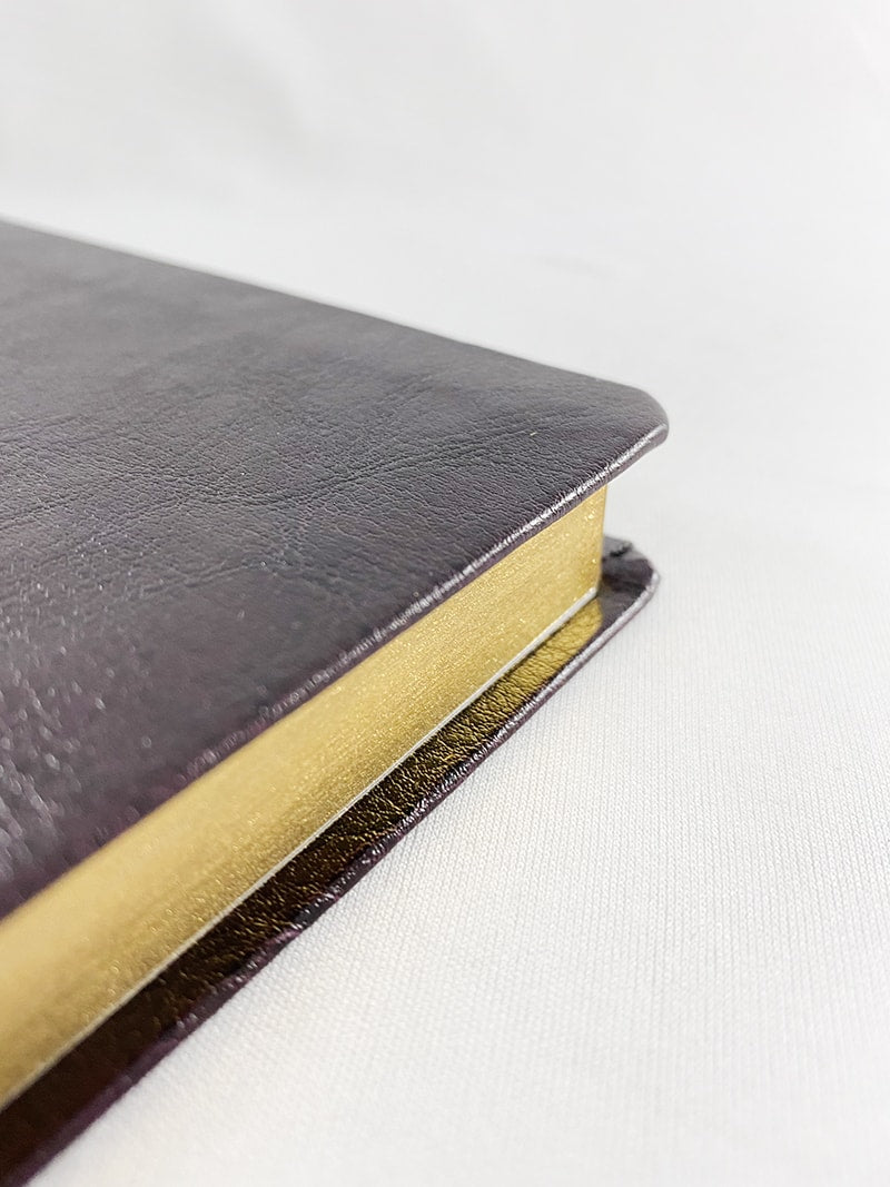 Bíblia Sagrada Slim | NVT | Letra Normal | Capa Marrom