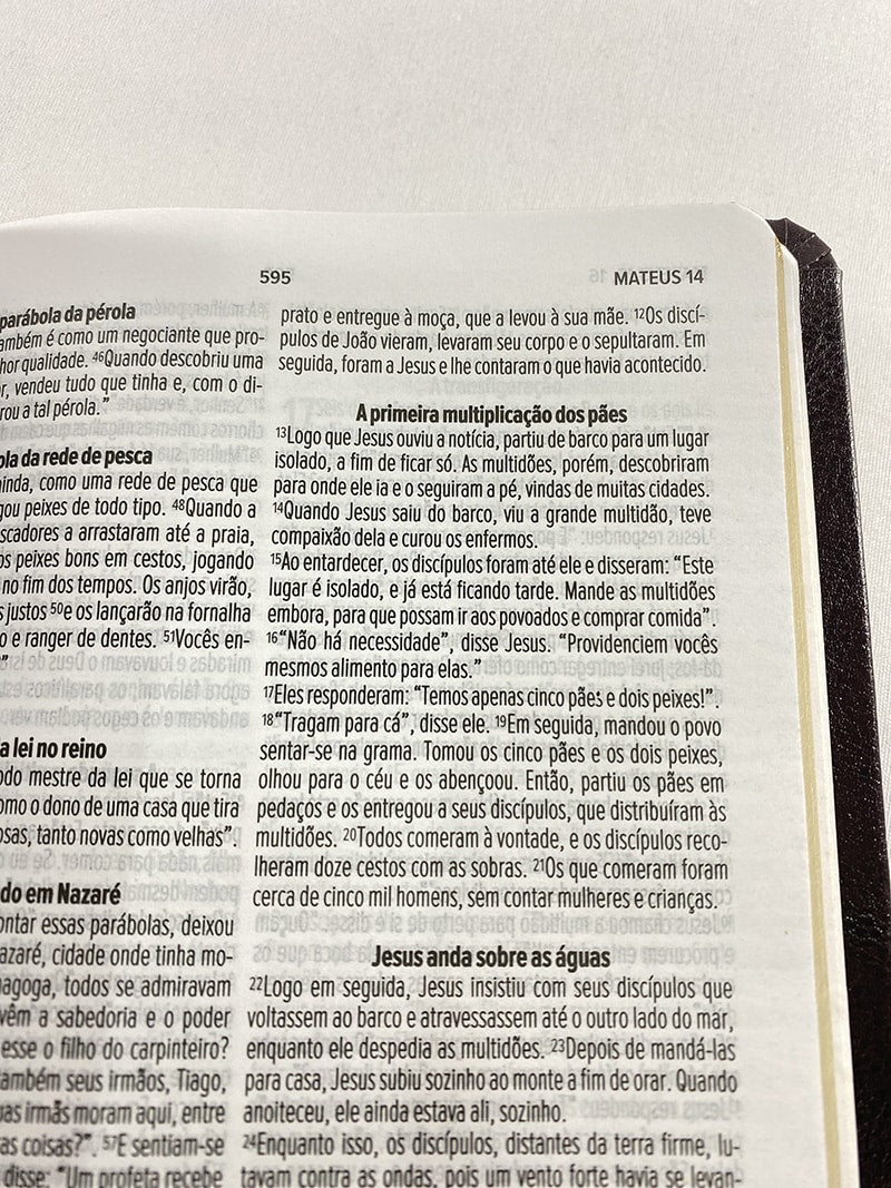 Bíblia Sagrada Slim | NVT | Letra Normal | Capa Marrom