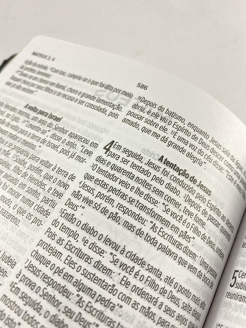 Bíblia Sagrada Slim | NVT | Letra Normal | Capa Marrom