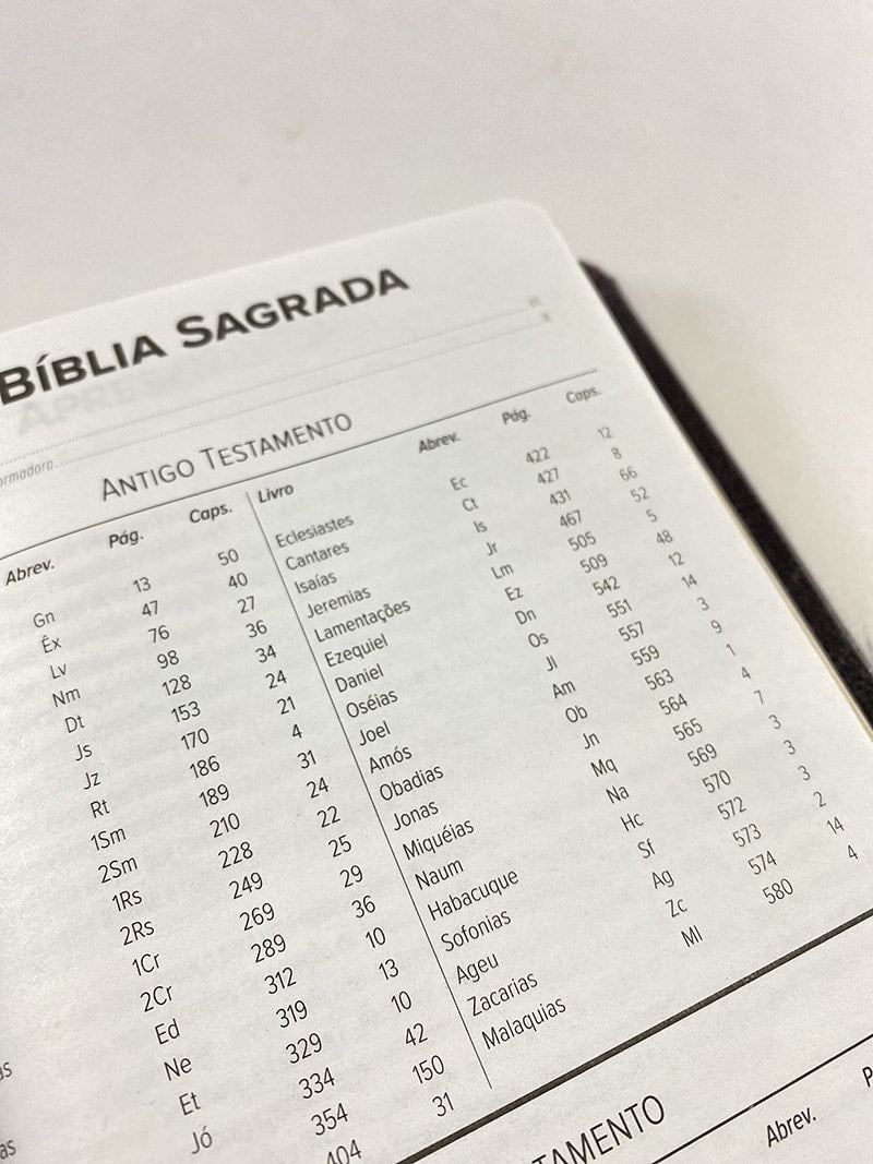 Bíblia Sagrada Slim | NVT | Letra Normal | Capa Marrom