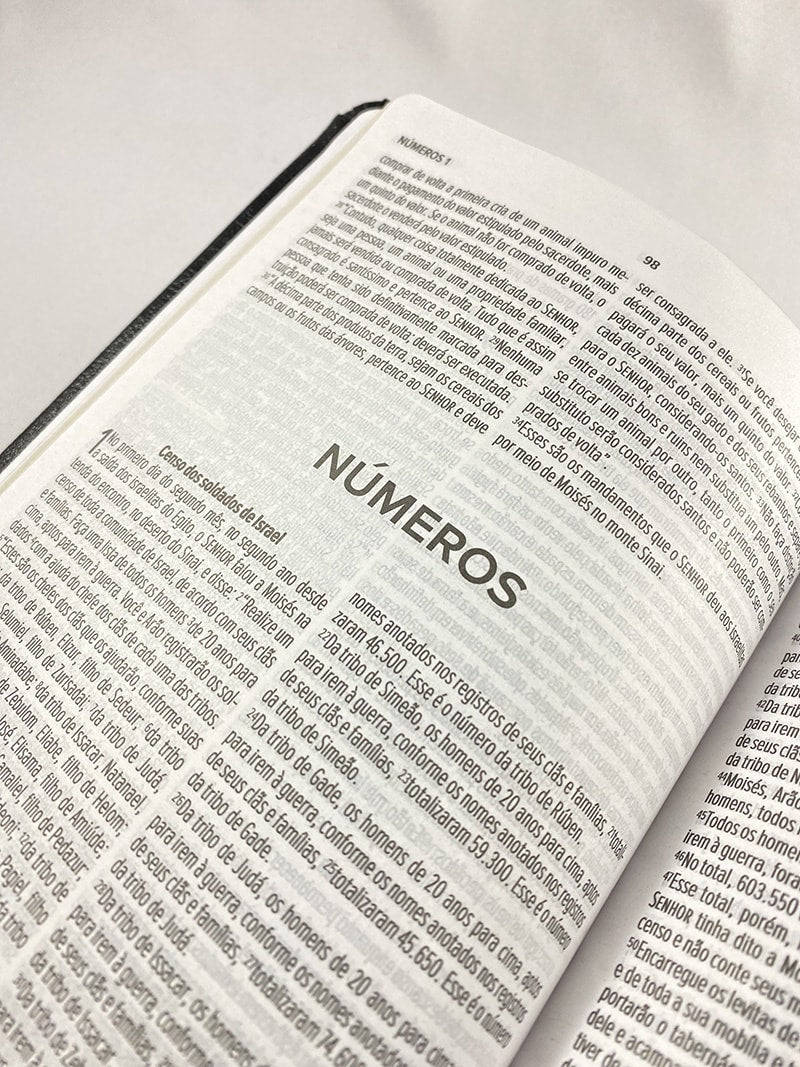 Bíblia Sagrada Slim | NVT | Letra Normal | Capa Marrom