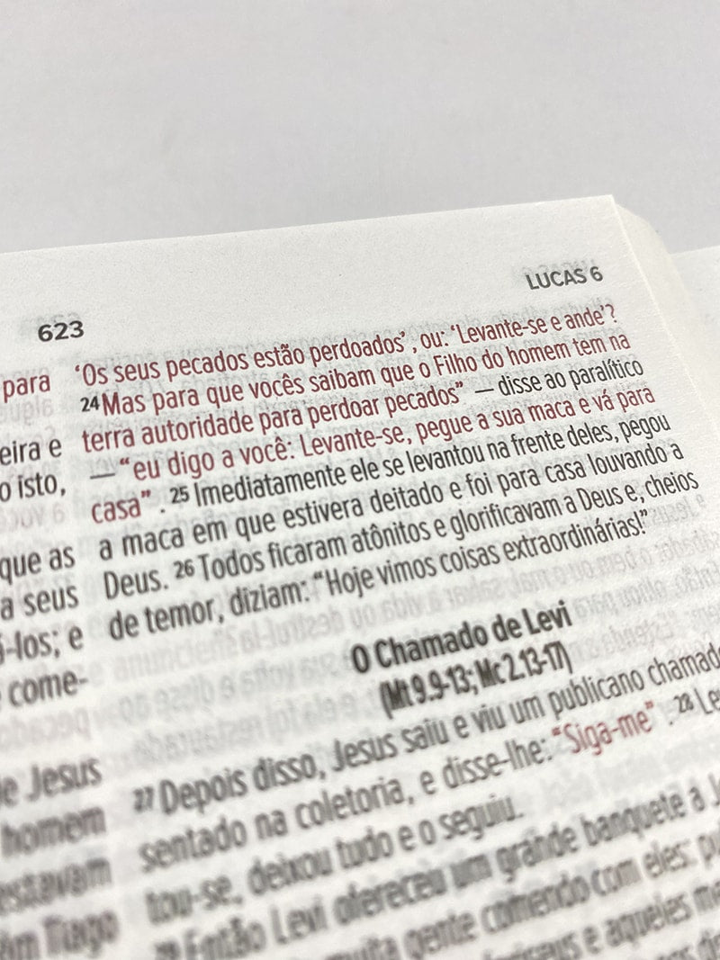 Bíblia Sagrada Leão de Judah | NVI | Letra Normal | Flexível Soft Touch