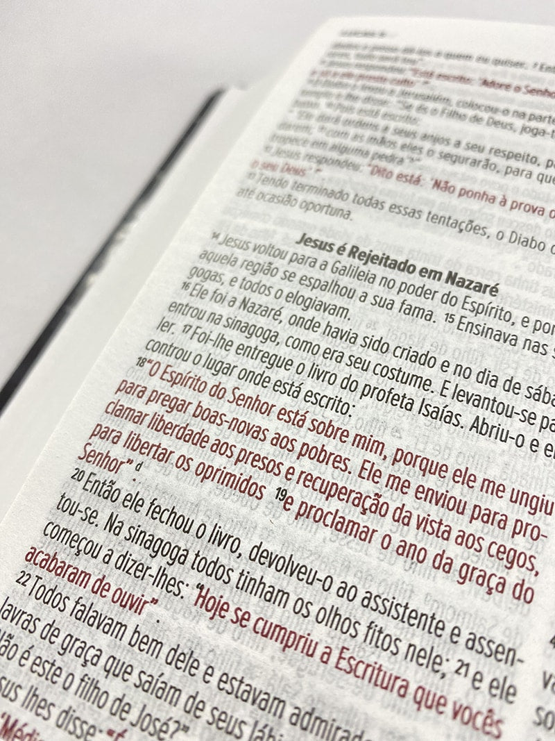 Bíblia Sagrada Leão de Judah | NVI | Letra Normal | Flexível Soft Touch