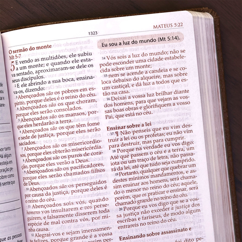 Bíblia de Estudo para Mulheres | BKJ 1611 | Letra normal | Capa Luxo Marrom