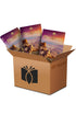 Kit 10 Devocionais Pão Diário Vol. 26 Israel, capa com paisagem desértica, em caixa marrom. — Plenitude