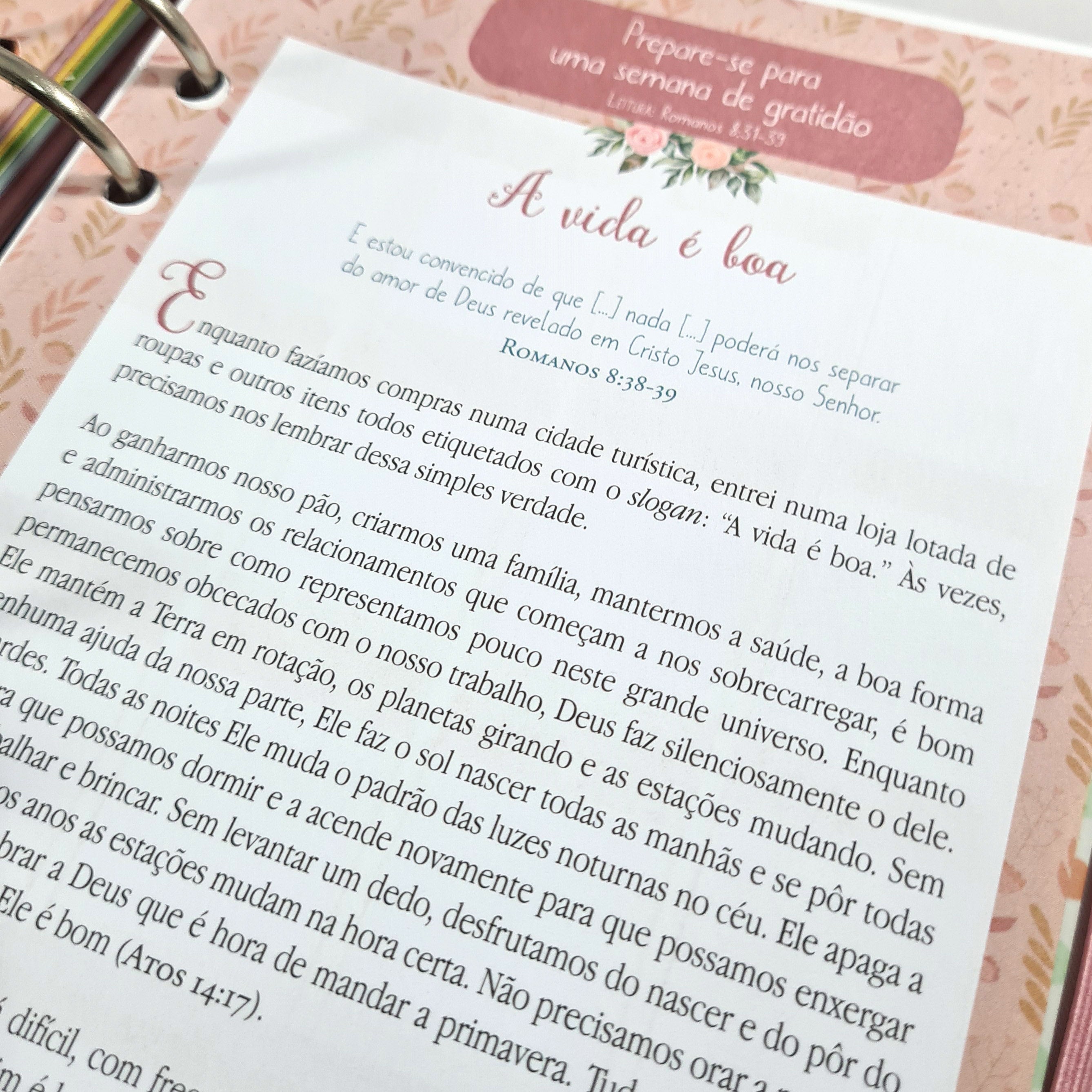 Planner Pão Diário | Capa Vivemos por Fé