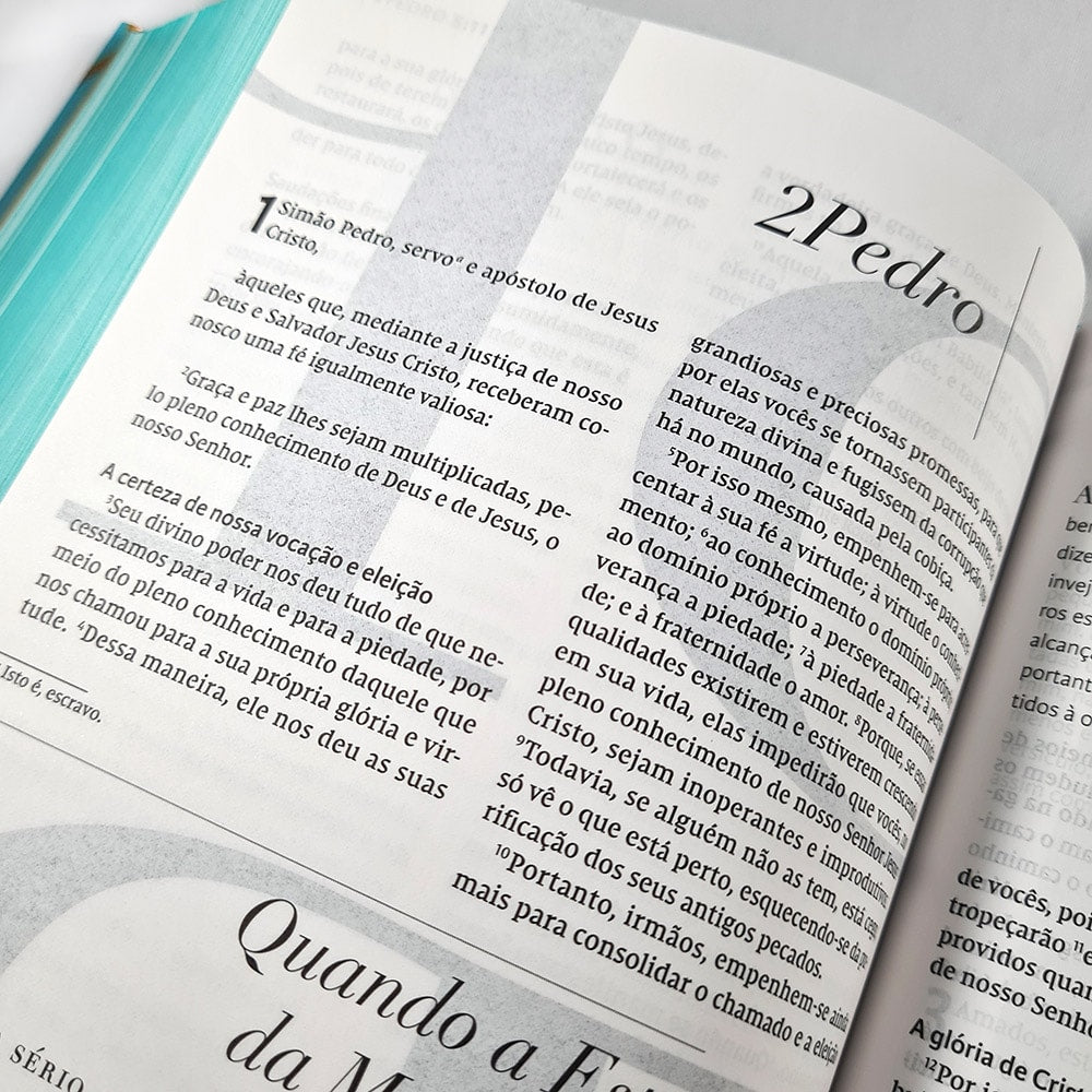 Bíblia C. S. Lewis | NVI | Leitura Perfeita | Capa Dura Azul e Dourado