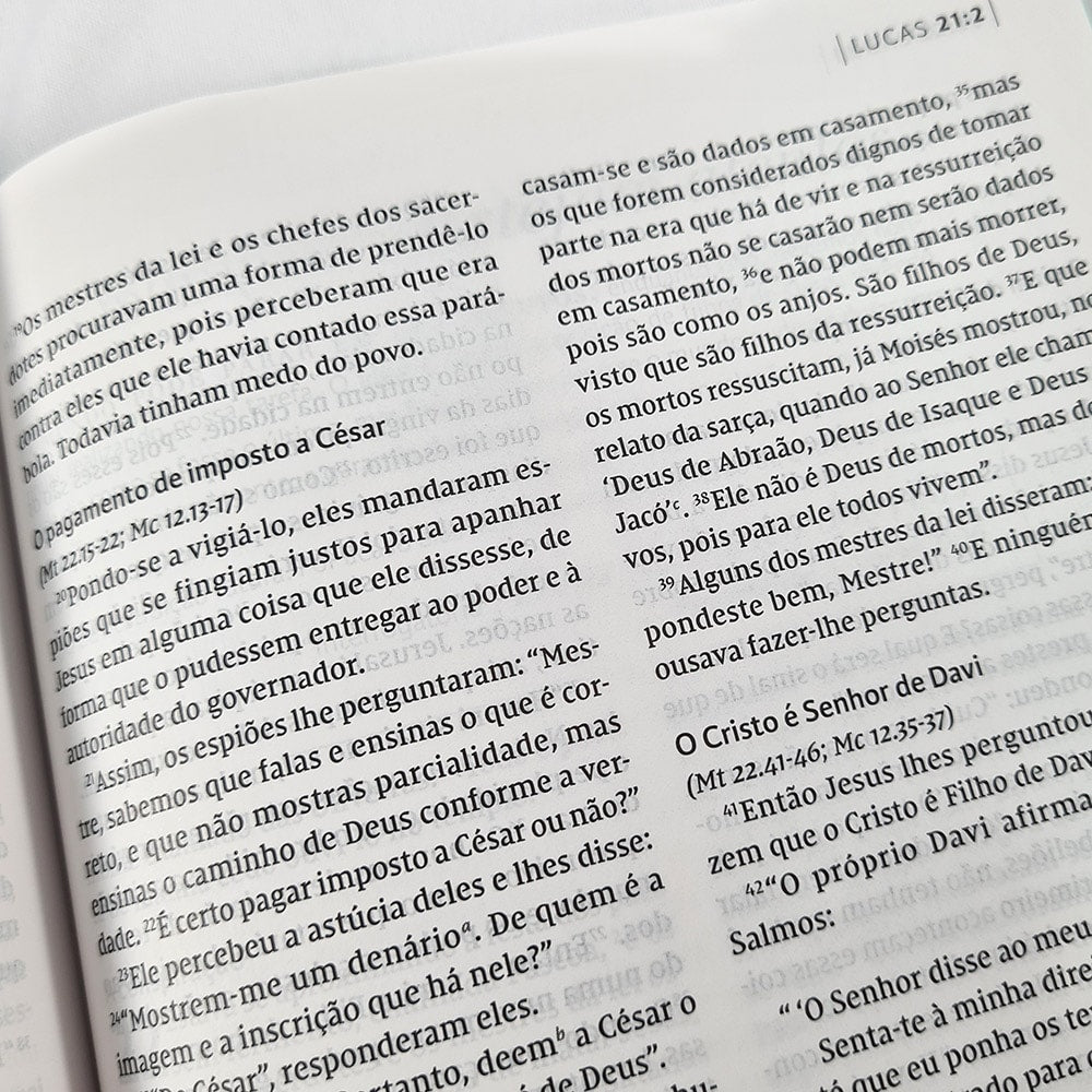 Bíblia C. S. Lewis | NVI | Leitura Perfeita | Capa Dura Azul e Dourado