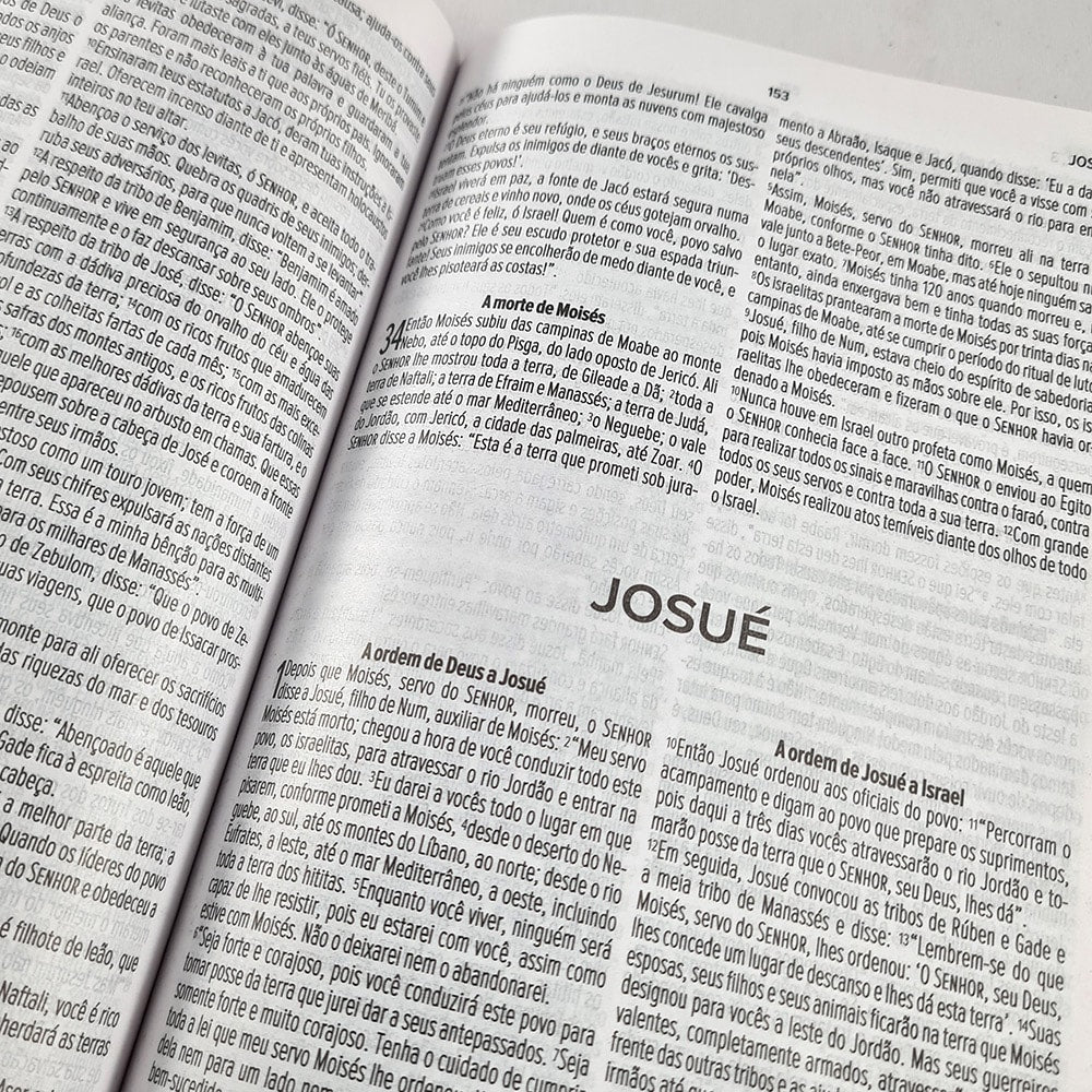 Bíblia Sagrada Leão de Judah | NVT | Letra Normal | Flexível Soft Touch