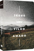 Bíblia Sagrada NVI, capa "Filho Amado", com paisagem montanhosa e céu estrelado, em tons de cinza e verde. — Plenitude