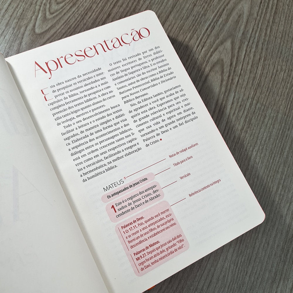 Kit Bíblia Contexto | Novo Testamento | NVT | Capa Dura | Leão