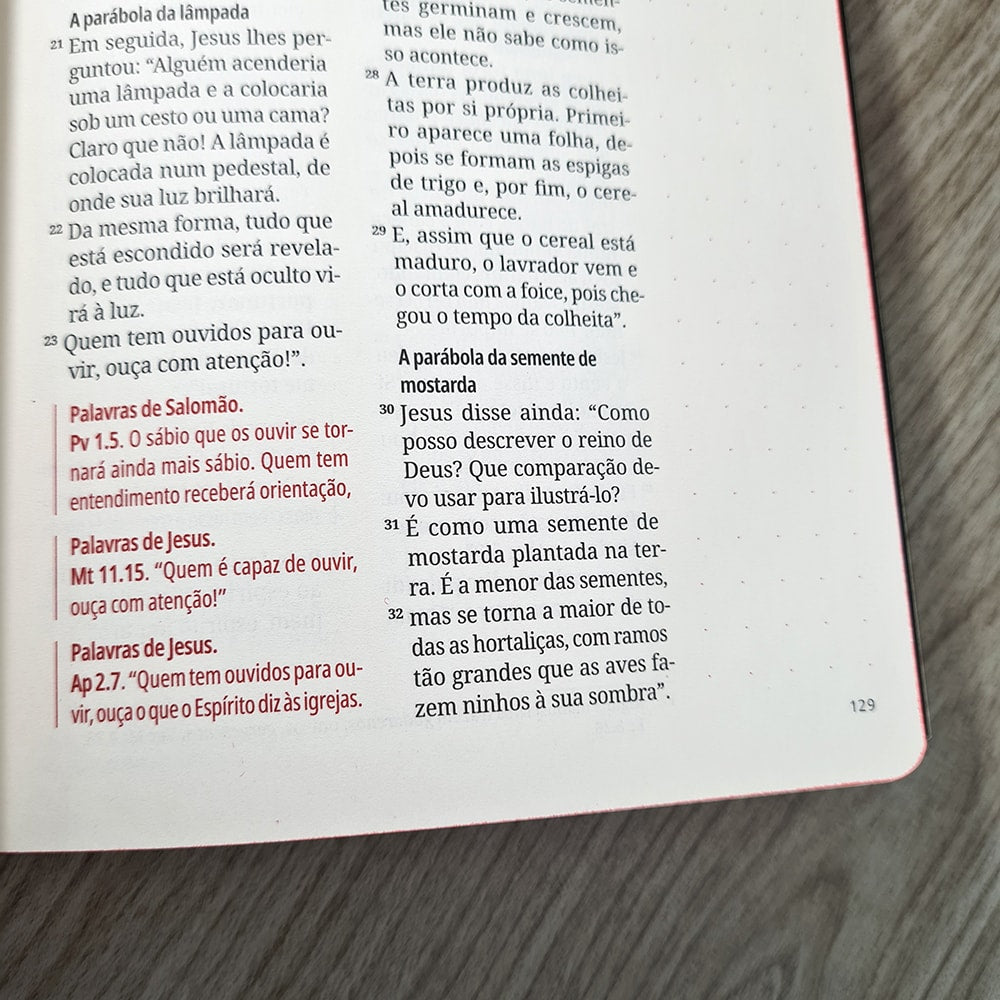 Kit Bíblia Contexto | Novo Testamento | NVT | Capa Dura | Leão