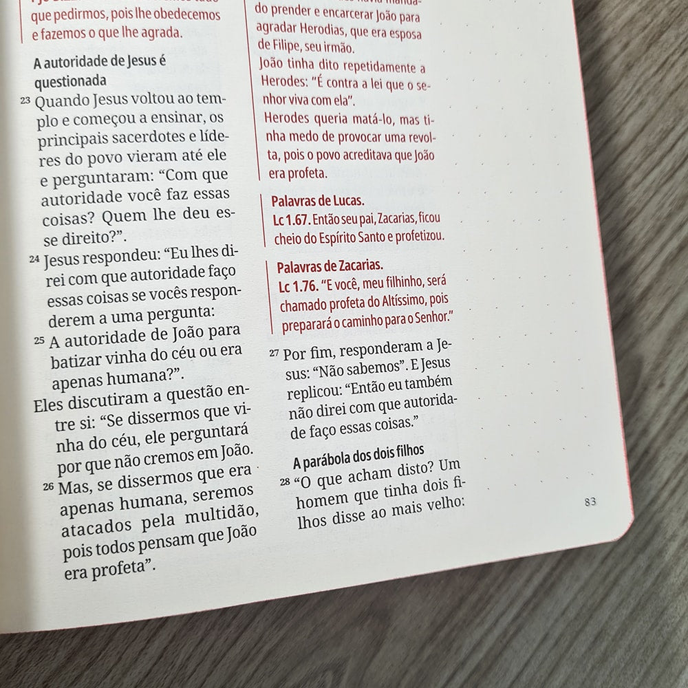 Kit Bíblia Contexto | Novo Testamento | NVT | Capa Dura | Leão