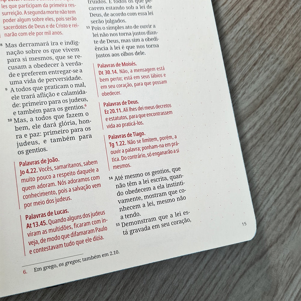 Kit Bíblia Contexto | Novo Testamento | NVT | Capa Dura | Leão