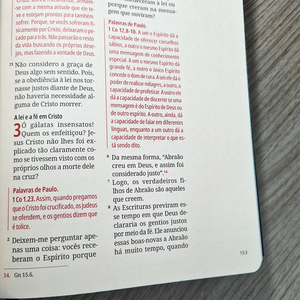 Kit Bíblia Contexto | Novo Testamento | NVT | Capa Dura | Leão