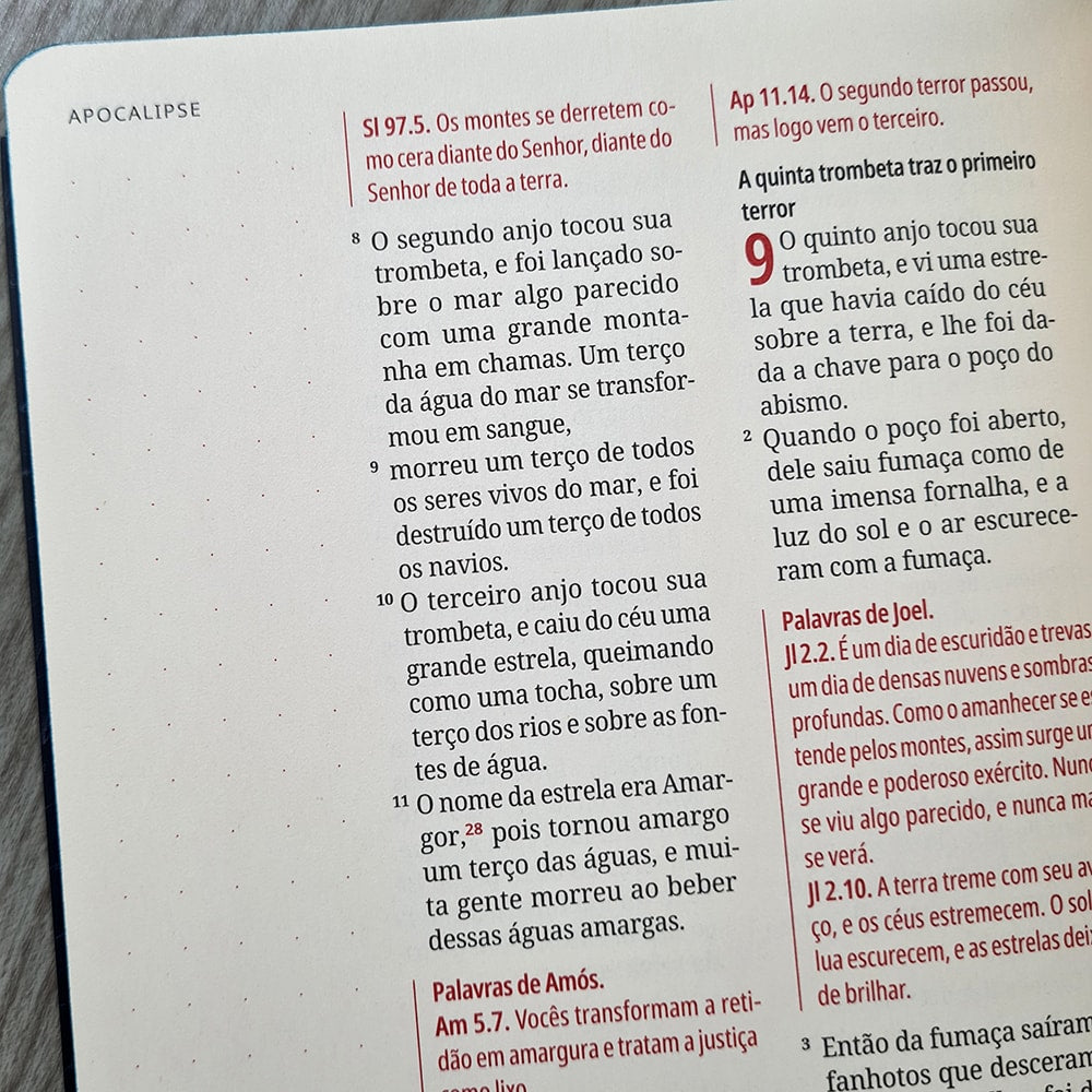 Kit Bíblia Contexto | Novo Testamento | NVT | Capa Dura | Leão