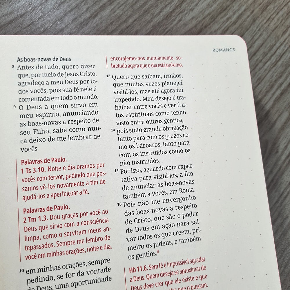 Kit Bíblia Contexto | Novo Testamento | NVT | Capa Dura | Floral