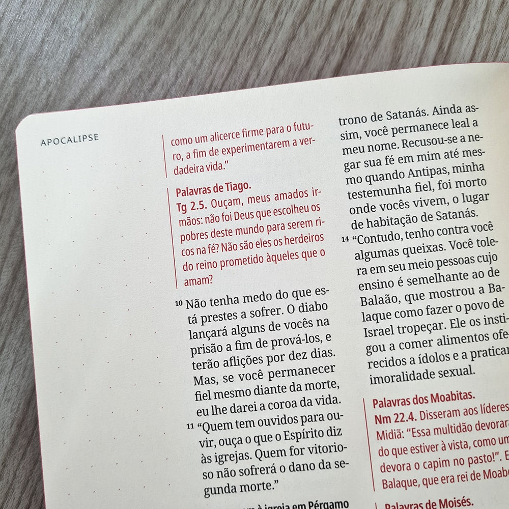 Kit Bíblia Contexto | Novo Testamento | NVT | Capa Dura | Floral