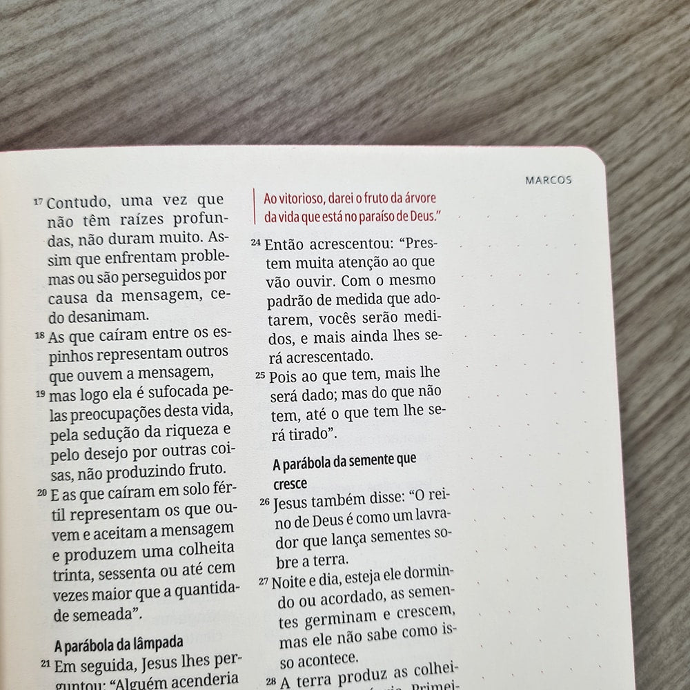 Kit Bíblia Contexto | Novo Testamento | NVT | Capa Dura | Floral