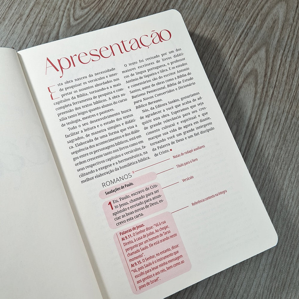 Kit Bíblia Contexto | Novo Testamento | NVT | Capa Dura | Ornamentos
