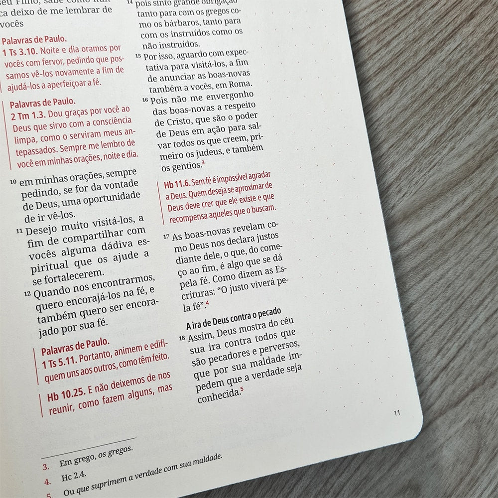 Kit Bíblia Contexto | Novo Testamento | NVT | Capa Dura | Ornamentos