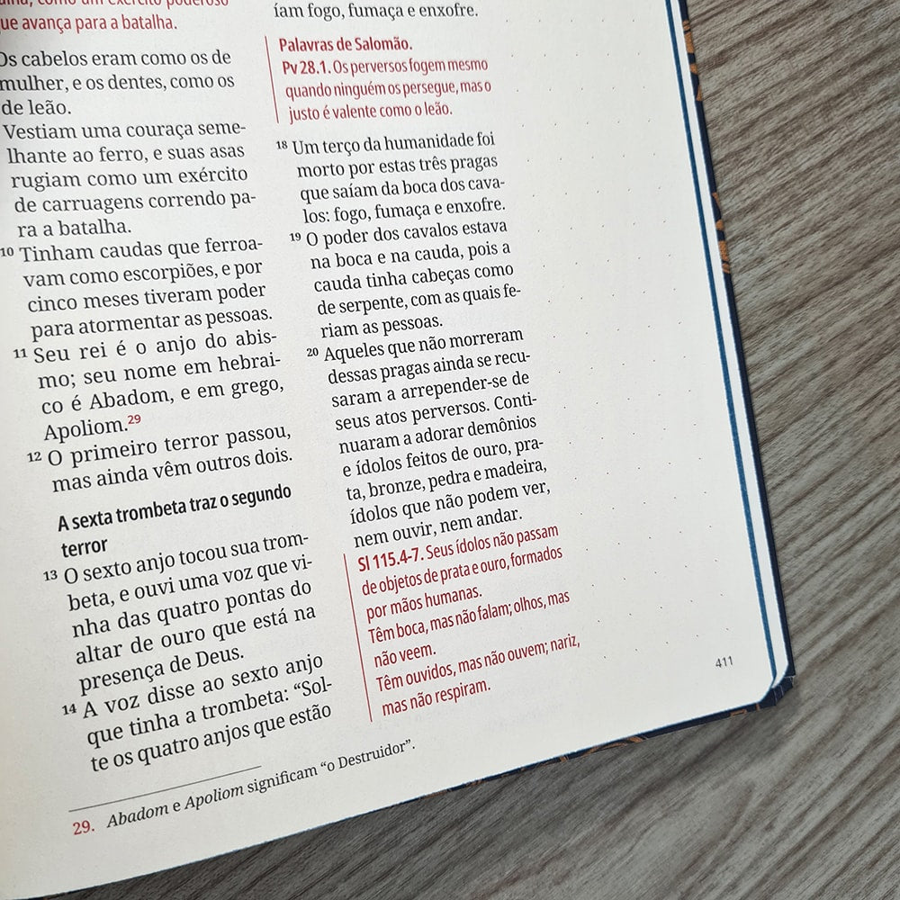 Kit Bíblia Contexto | Novo Testamento | NVT | Capa Dura | Ornamentos