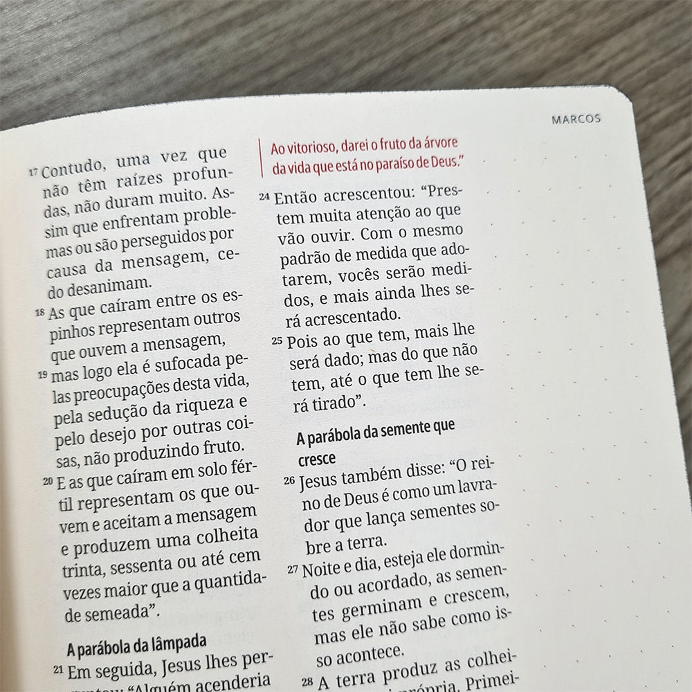 Kit Bíblia Contexto | Novo Testamento | NVT | Capa Dura | Ornamentos