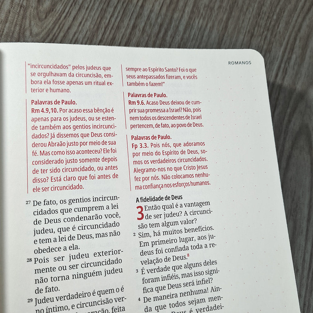 Kit Bíblia Contexto | Novo Testamento | NVT | Capa Dura | Quadro Antigo