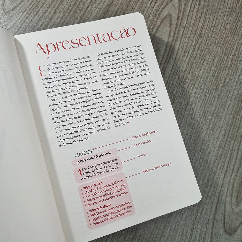 Kit Bíblia Contexto | Novo Testamento | NVT | Capa Dura | Quadro Antigo